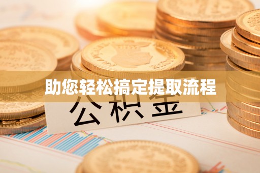 向阳助您轻松搞定提取流程