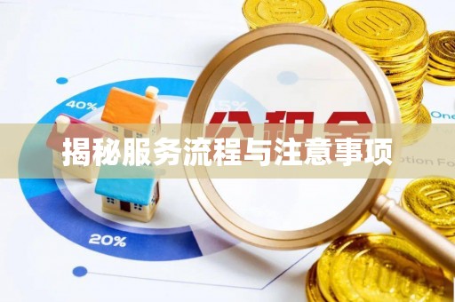 向阳揭秘服务流程与注意事项