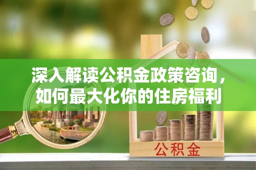 向阳深入解读公积金政策咨询，如何最大化你的住房福利