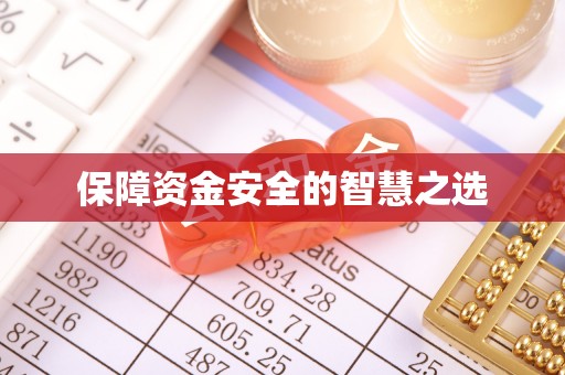 向阳保障资金安全的智慧之选