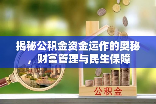 向阳揭秘公积金资金运作的奥秘，财富管理与民生保障